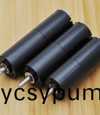 微型(xing)電機(jī)(ji)解決方案(an)